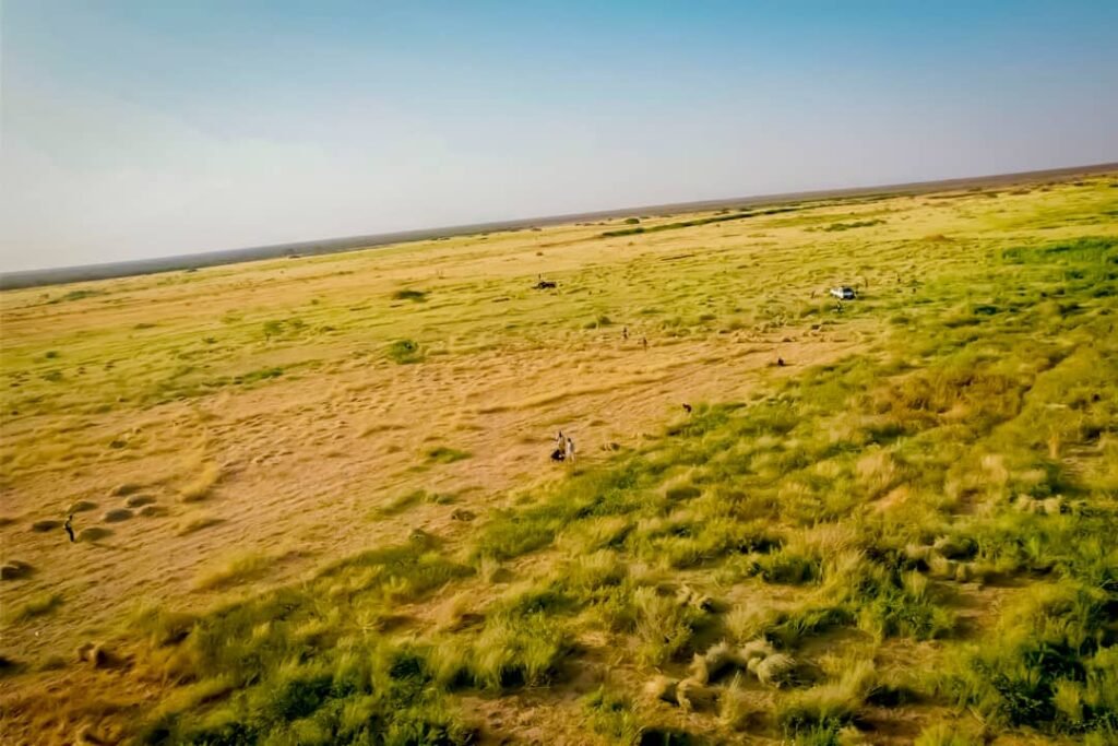 Forage landscape in an NMC-provided photograph